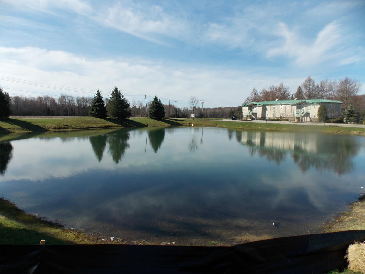 Fairway Suites At The Peak French Creek Εξωτερικό φωτογραφία